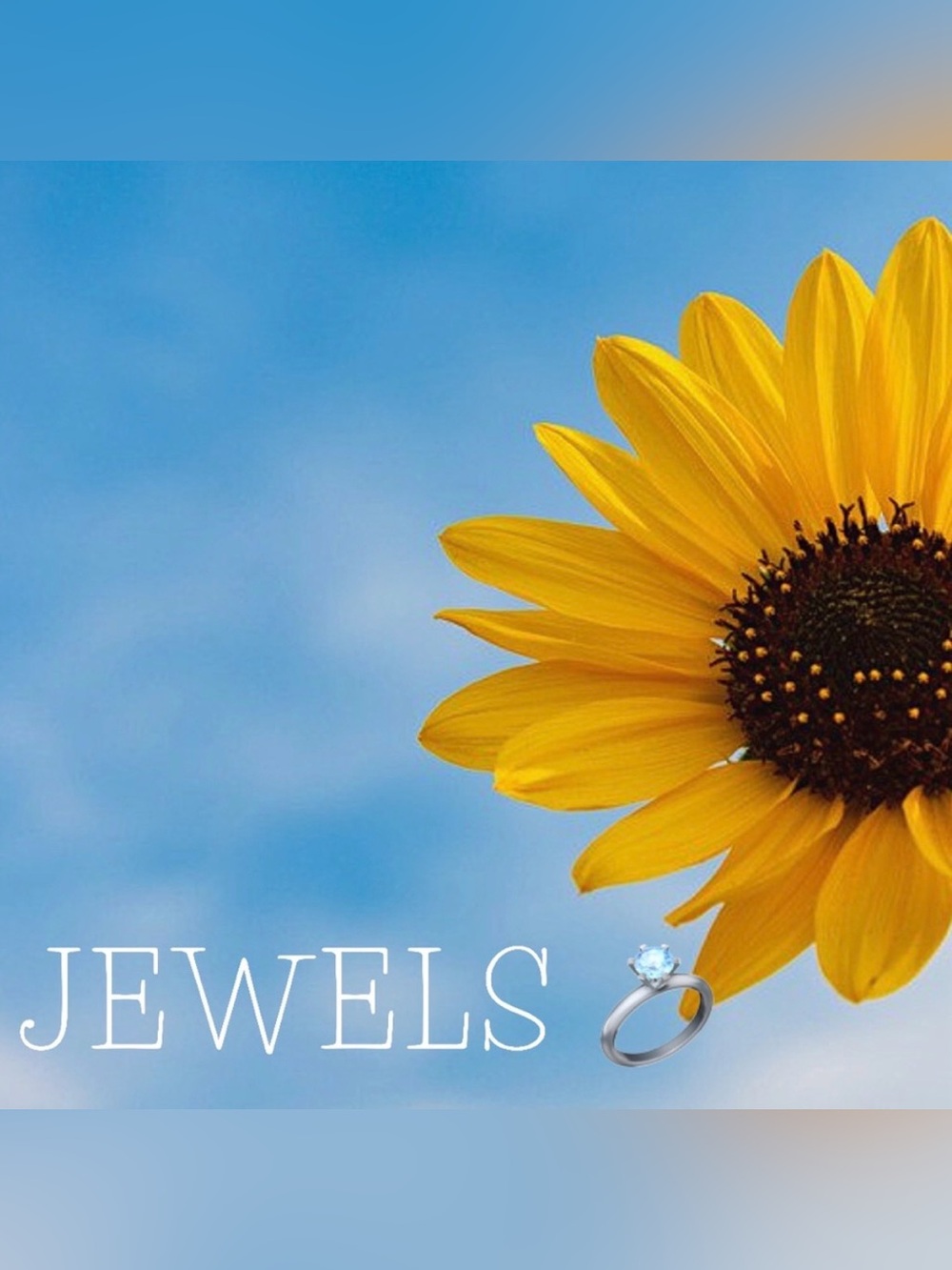 Jewelry 💎 & Accessories 🧣🕶🧢